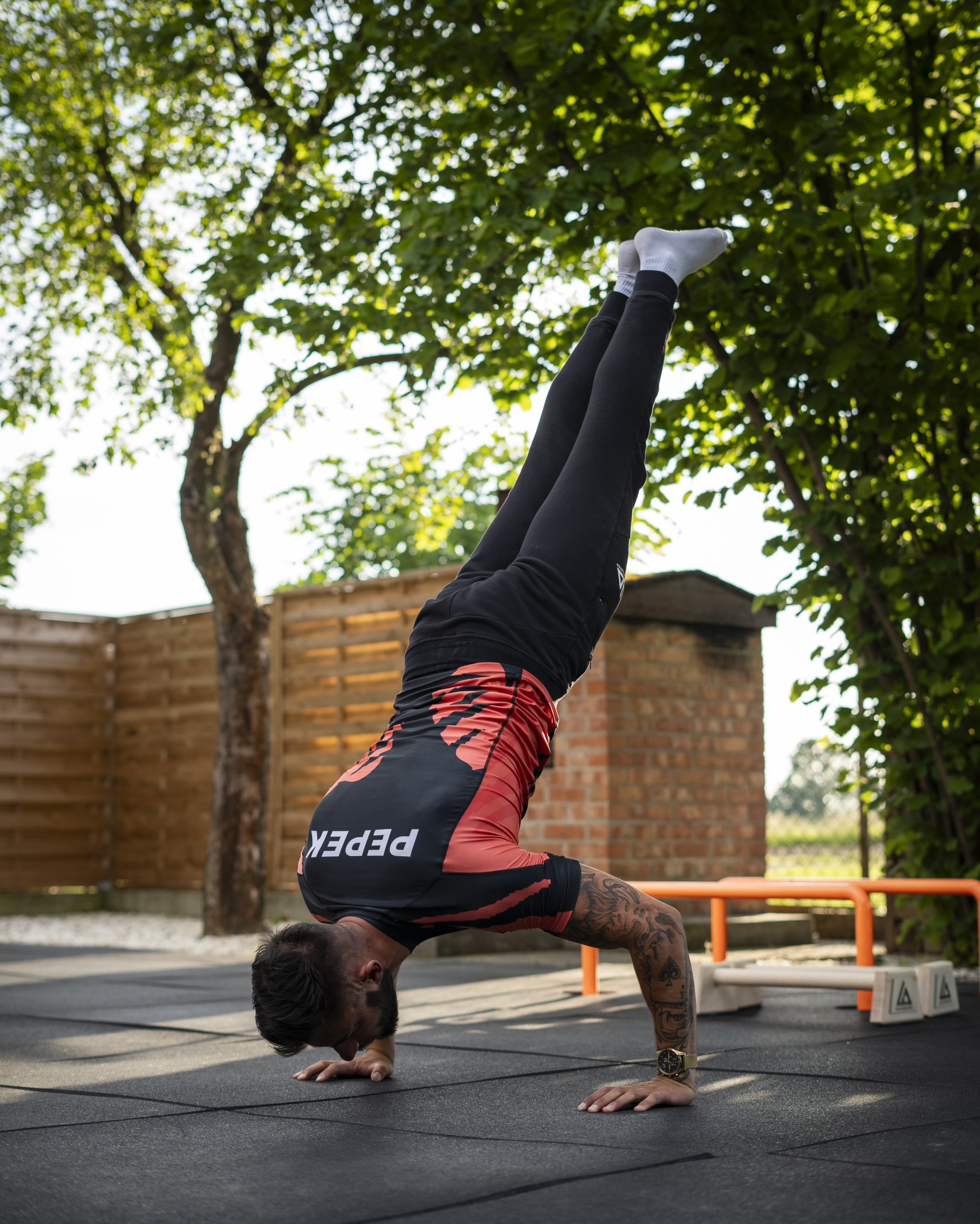 Trener - plan treningowy kalistenika w&nbsp;domu