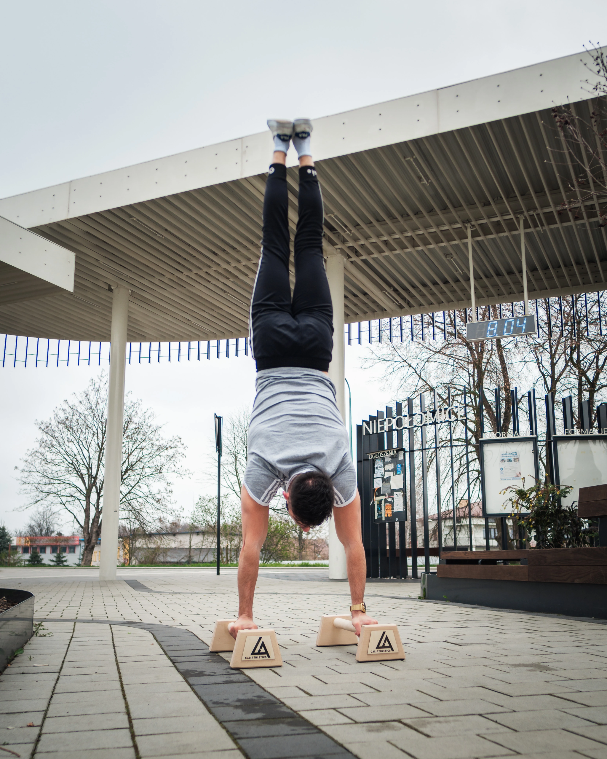 Kalistenika - jak zacząć ćwiczyć